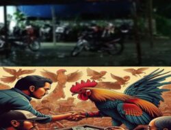 Sabung Ayam Merajalela, Polisi Tak Berdaya: Hukum Tumpul di Trenggalek