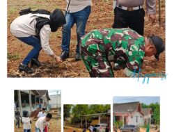 Semangat Hari Santri, LIN DPD Jawa Timur Tanam Bibit Jagung di Tuban untuk Wujudkan Swasembada Pangan