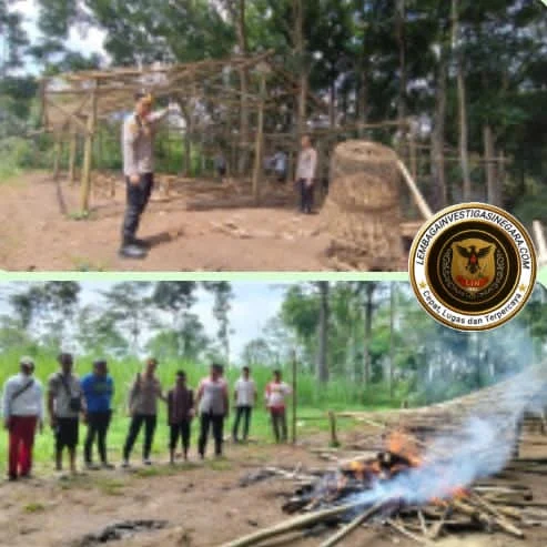Dumas Warga, Polisi Gerebek Lokasi Sabung Ayam di Singosari