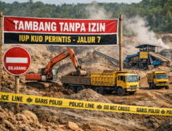 Oknum AS Alias Ali Diduga Nekat Beraktivitas PETI di Dalam IUP KUD Perintis, RKAB Mati Bertahun-tahun