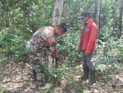 Menyatu dengan Masyarakat, Satgas TMMD Ke-127 Bantu Warga Menores Karet