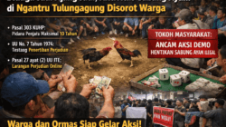 Diduga Jadi Ajang Judi, Aktivitas Sabung Ayam di Ngantru Tulungagung Disorot Warga