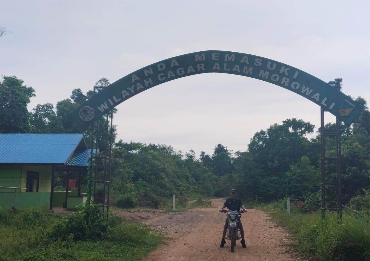 Ketegasan atau Tendensi? Penindakan BKSDA Morut Dipersoalkan