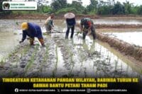 Tingkatkan Ketahanan Pangan Wilayah, Babinsa Turun ke Sawah Bantu Petani Tanam Padi