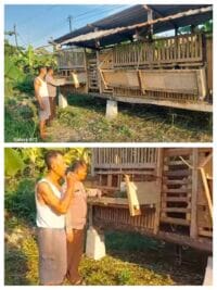 Bhabinkamtibmas Bangil Pantau Budidaya Ternak Kambing di Latek, Dukung Program P2B Asta Cita