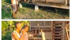 Bhabinkamtibmas Bangil Pantau Budidaya Ternak Kambing di Latek, Dukung Program P2B Asta Cita