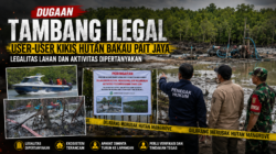 Dugaan Tambang Ilegal User-User Kikis Hutan Bakau Pait Jaya, Legalitas Lahan dan Aktivitas Dipertanyakan