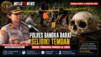 Polres Bangka Barat Selidiki Temuan Diduga Tengkorak Manusia di Jebus, Warga Diimbau Tidak Berspekulasi