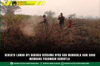 Bersatu Lawan Api Babinsa Bersama BPBD Dan Manggala Agni Bahu Membahu Padamkan Karhutla