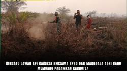 Bersatu Lawan Api Babinsa Bersama BPBD Dan Manggala Agni Bahu Membahu Padamkan Karhutla