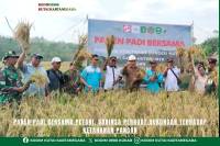 Panen Padi Bersama Petani, Babinsa Perkuat Dukungan Terhadap Ketahanan Pangan