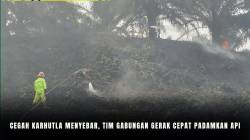 Cegah Karhutla Menyebar Tim Gabungan Gerak Cepat Padamkan Api